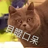 914事件辟谣,914车牌寓意真的不好吗