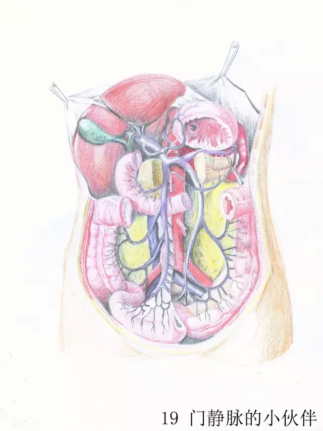 正所谓画骨画皮也画心,画皮画骨还画心