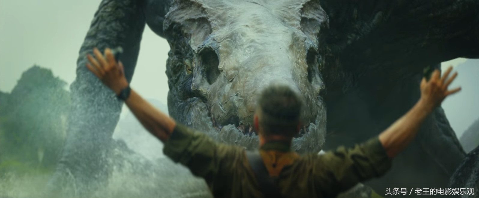 金刚景甜片段,景甜在金刚里的片段