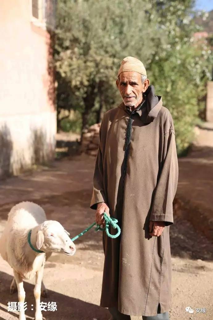 娌欐紶閲岀殑鐨囧,娌欐紶閲岀殑鐜嬪