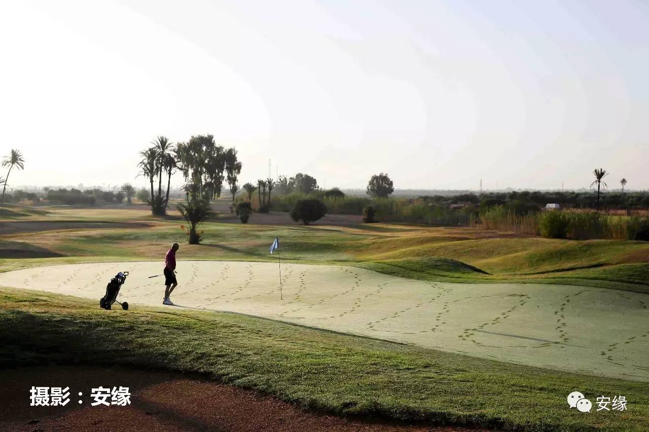 娌欐紶閲岀殑鐨囧,娌欐紶閲岀殑鐜嬪