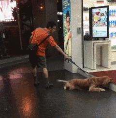 姑娘，别再抬脚了，整个车厢都弥漫着你臭袜子的味道