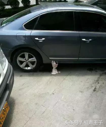 姑娘，别再抬脚了，整个车厢都弥漫着你臭袜子的味道