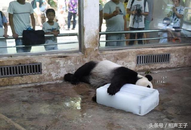 姑娘，别再抬脚了，整个车厢都弥漫着你臭袜子的味道