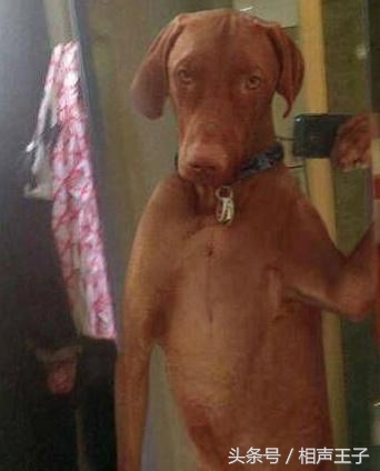 姑娘，别再抬脚了，整个车厢都弥漫着你臭袜子的味道