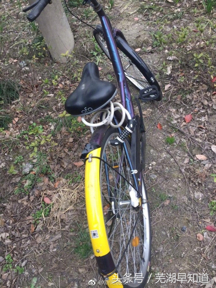 共享单车被上私锁,共享单车被上私锁怎么解决