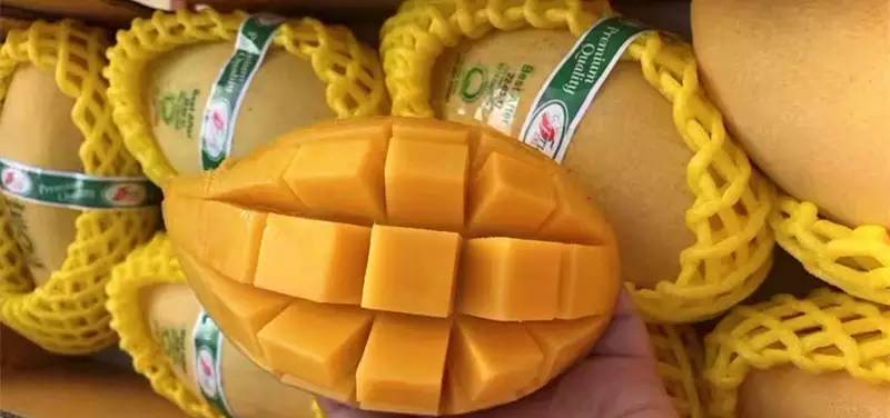 这芒果的味道太惊艳！年销6000万的批发商靠它成上海芒果一姐