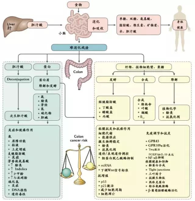 结直肠癌术后该怎么定期检查,结直肠癌出现便秘该怎么办