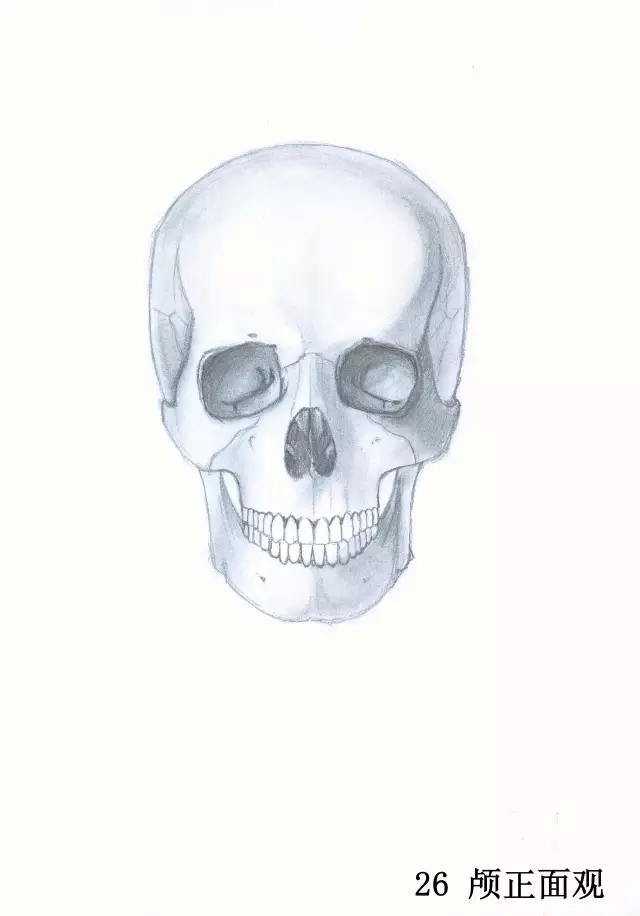 正所谓画骨画皮也画心,画皮画骨还画心