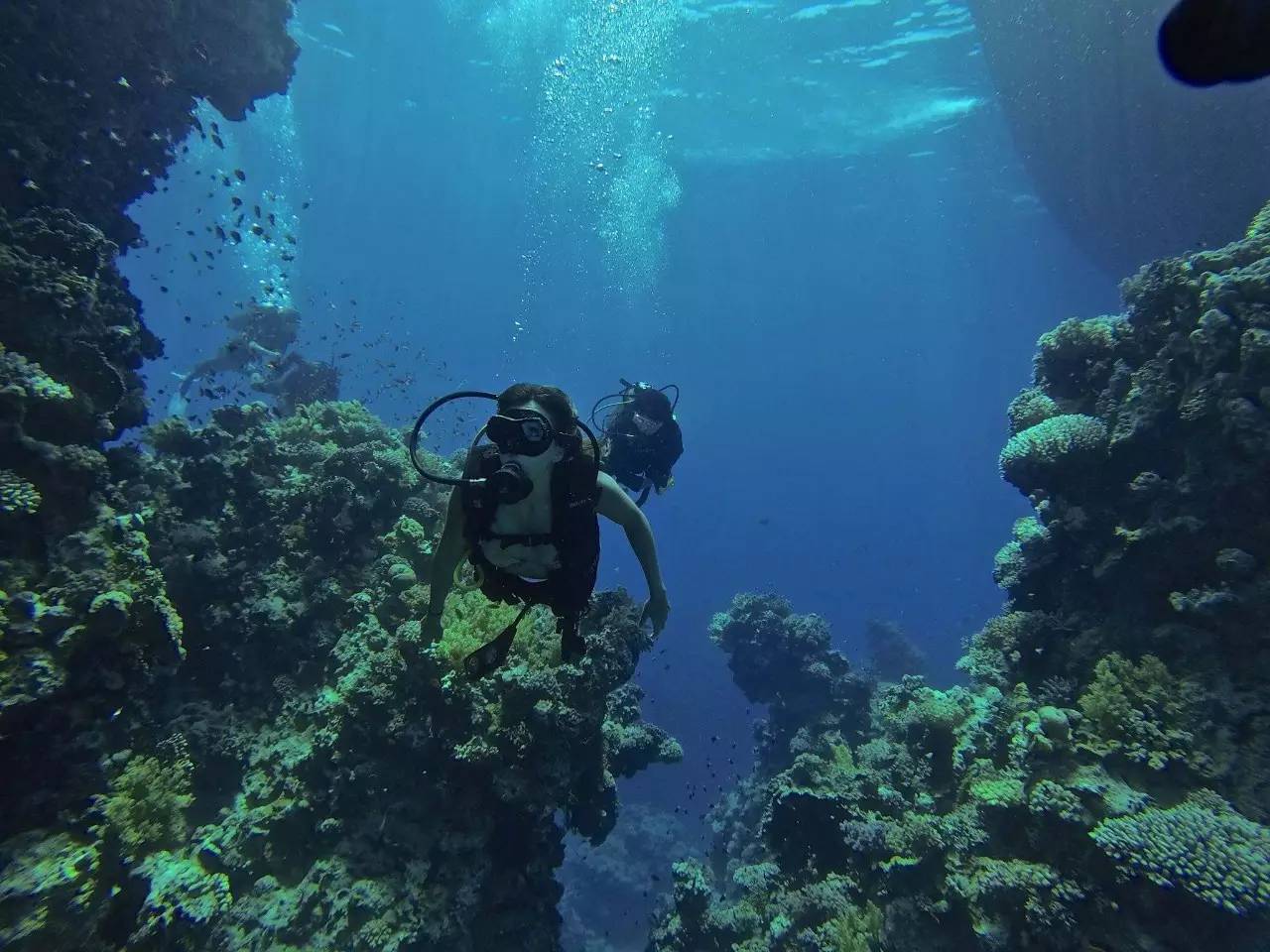 刘强东与奶茶妹妹的婚礼举办地大堡礁到底有多美？自己去看！
