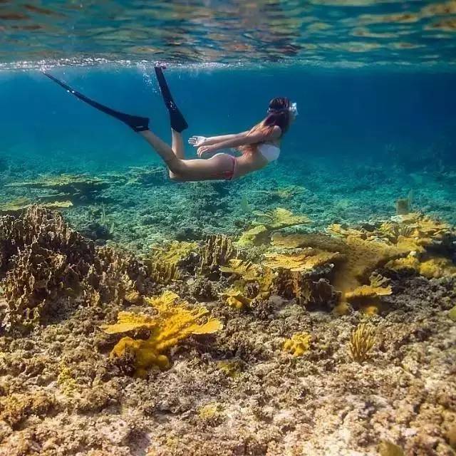 刘强东与奶茶妹妹的婚礼举办地大堡礁到底有多美？自己去看！