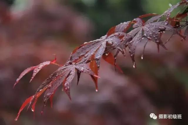 摄影新手必学的20种基础构图,摄影11种构图技巧