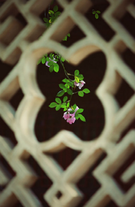 初中生必背古诗词最全整理,初中生必背古诗词大全集