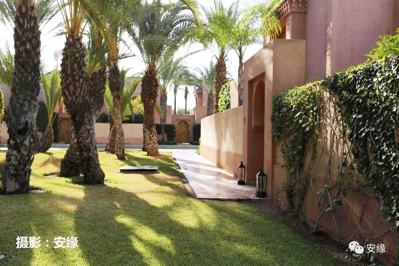 娌欐紶閲岀殑鐨囧,娌欐紶閲岀殑鐜嬪