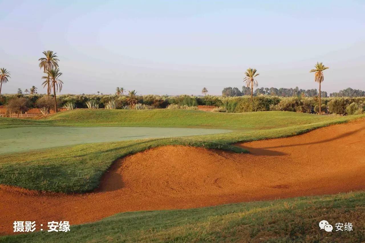 娌欐紶閲岀殑鐨囧,娌欐紶閲岀殑鐜嬪