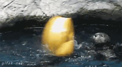 姑娘，别再抬脚了，整个车厢都弥漫着你臭袜子的味道