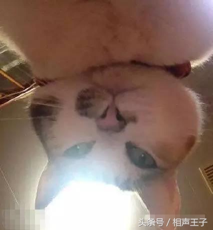 姑娘，别再抬脚了，整个车厢都弥漫着你臭袜子的味道