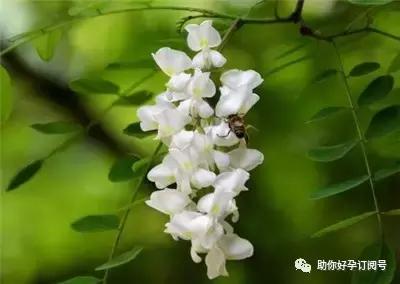 女性为什么会出现宫外孕,女性为什么会出现肾虚