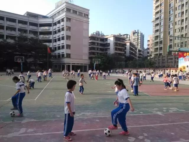 肇庆市足球特色学校有哪些,肇庆市有哪些体育学校