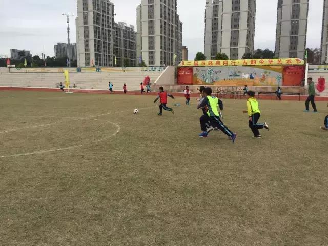 肇庆市足球特色学校有哪些,肇庆市有哪些体育学校