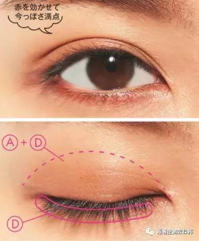 CHANEL限定眼影268被香奶奶种了一片草原