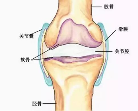 乍暖还寒关注预防感冒,乍暖还寒谨防感冒