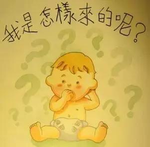 一梦谈狗：出生带了一张纸的狗狗就贵？这张纸是什么？