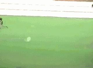 c罗假摔皮克偷笑动图gif,c罗抢伊瓜因单刀动态gif