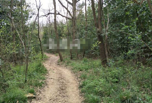 今日合肥油价92号汽油价格,合肥明天油价92汽油优惠