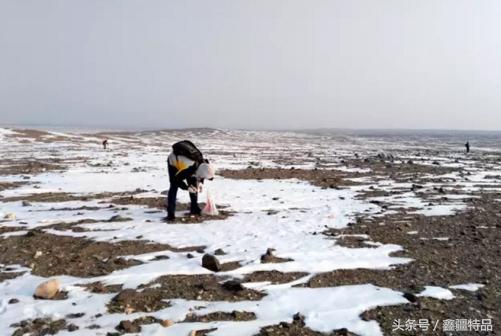 新疆戈壁海蓝宝石一克拉多少钱,新疆阿勒泰戈壁海蓝宝石原石