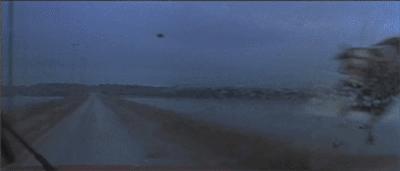 被*蛇钻毒**进裤裆里差点一发入洞