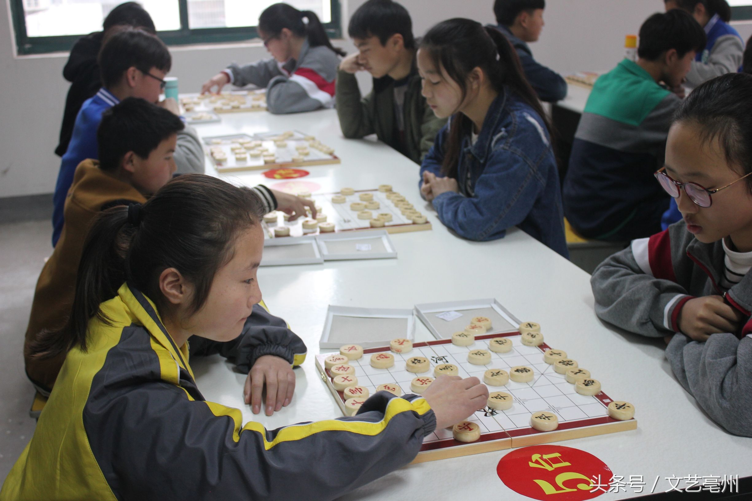 亳州市中小学生体育竞赛,亳州谯城区象棋赛