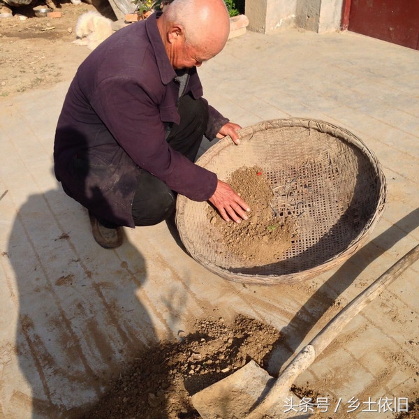 想种出安全绿色蔬菜该怎么做,怎么才能种出又新鲜又好吃的蔬菜