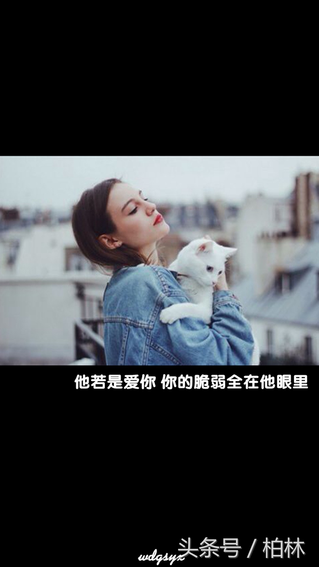 安妮宝贝关于爱情经典语录,安妮宝贝蔷薇岛屿经典语录