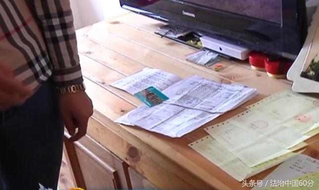 大连狗狗被打事件,宠物狗挑衅大型犬被咬死