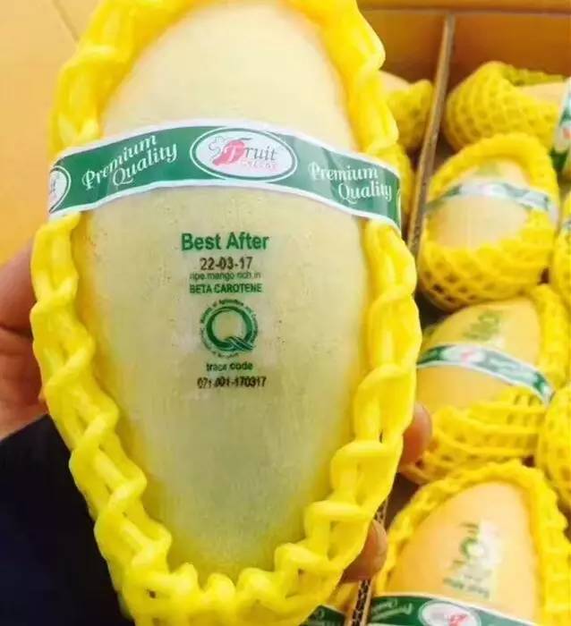 这芒果的味道太惊艳！年销6000万的批发商靠它成上海芒果一姐