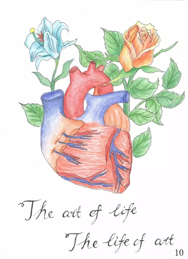 正所谓画骨画皮也画心,画皮画骨还画心