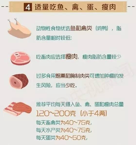 美国人造肉品牌大全,美国人造肉的视频