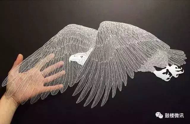 一张白纸也能成为艺术品,艺术一张白纸