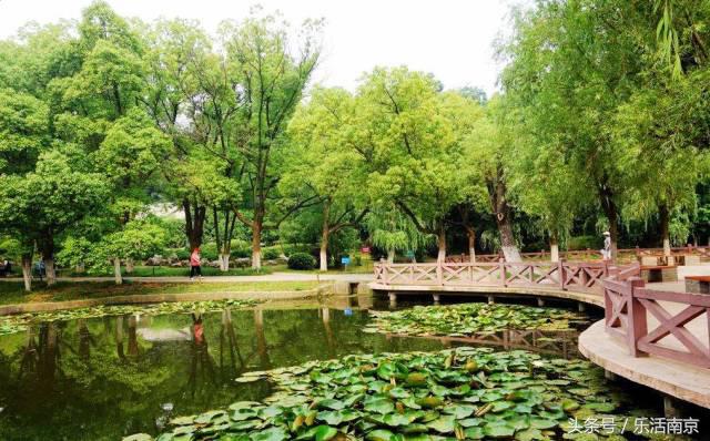 南京莫愁湖公园免费,南京免费公园免费开放日一览表