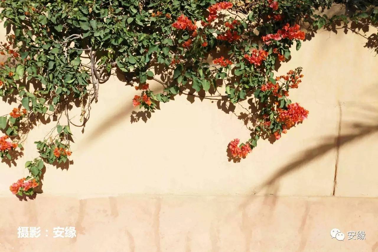 娌欐紶閲岀殑鐨囧,娌欐紶閲岀殑鐜嬪