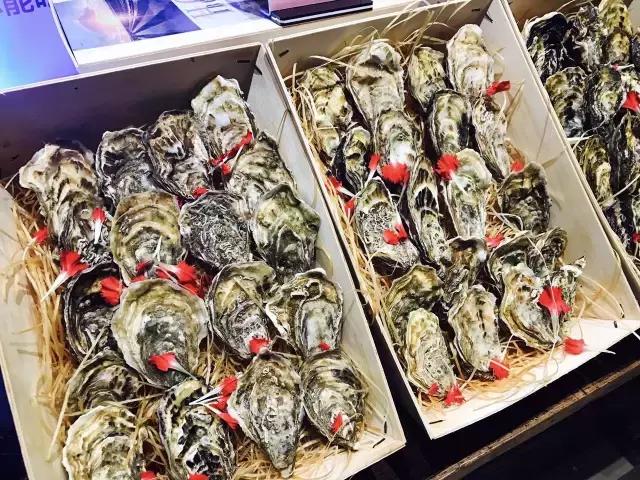 逆天啦,海鼎荟厦门生蚝