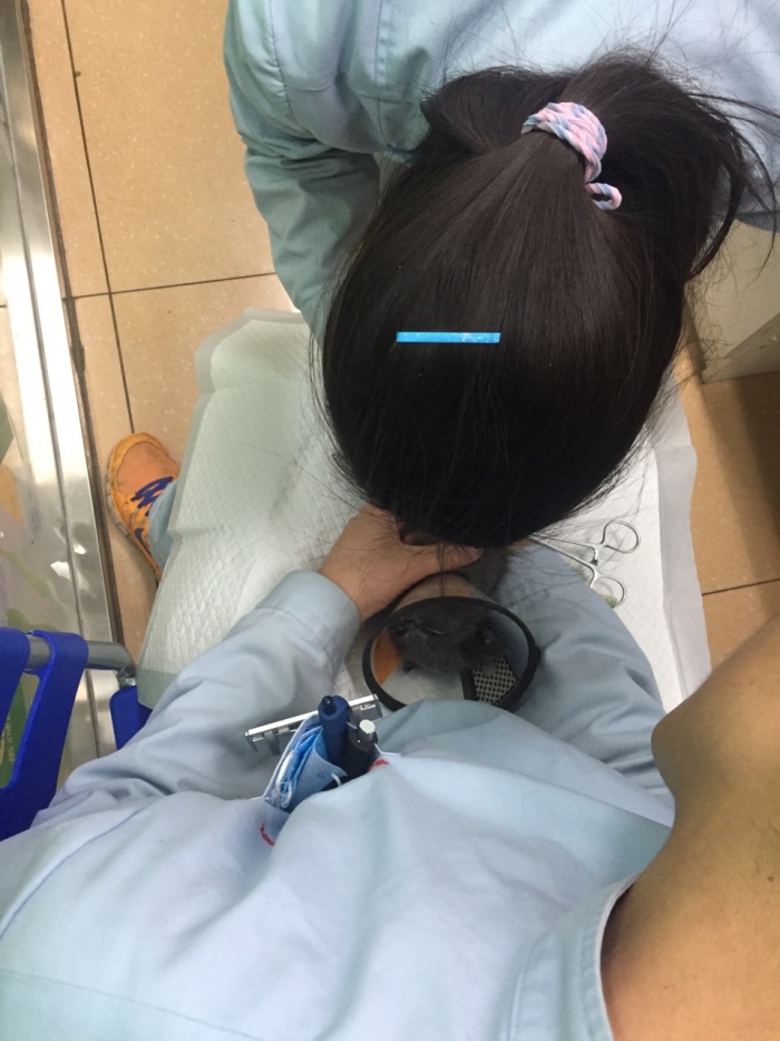 去猫舍买猫要多少钱,宠物市场买的蓝猫两个月能活吗