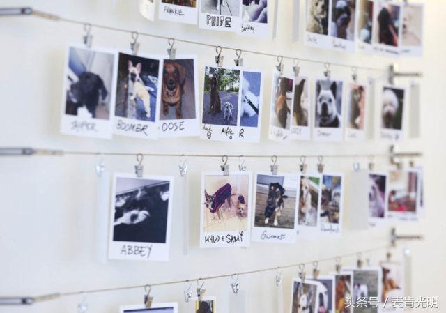 飞上天和太阳肩并肩,上天与太阳肩并肩的下一句