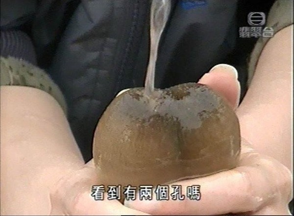 捕捞到各种鱼,捕捞到岸分拣