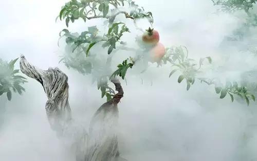 董卿五十道国学题,董卿推荐的国学常识200题含答案