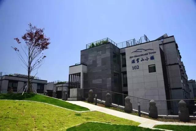 大开发商扎堆的地方未来怎么样,大开发商远郊集中拿地