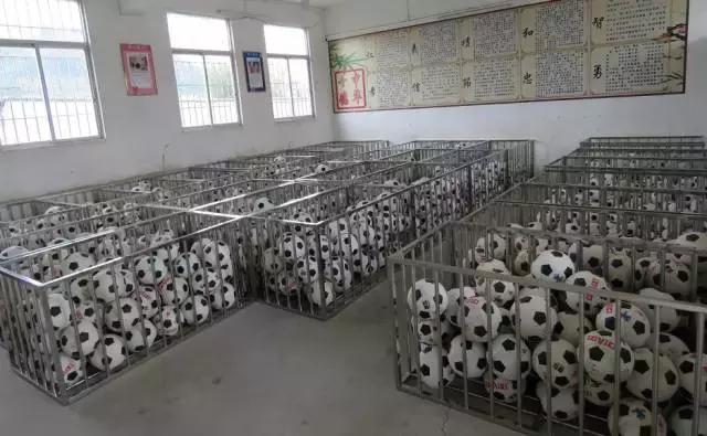 肇庆市足球特色学校有哪些,肇庆市有哪些体育学校