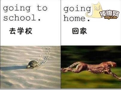 如何打开共享单车的锁,使用共享单车如何打开定位