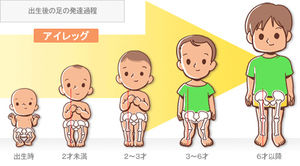 日本女性坐姿与腿型,日本女生腿型怎么回事